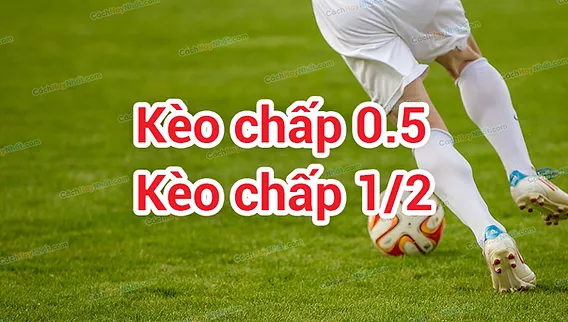 Khái niệm kèo chấp 0.5 là gì?