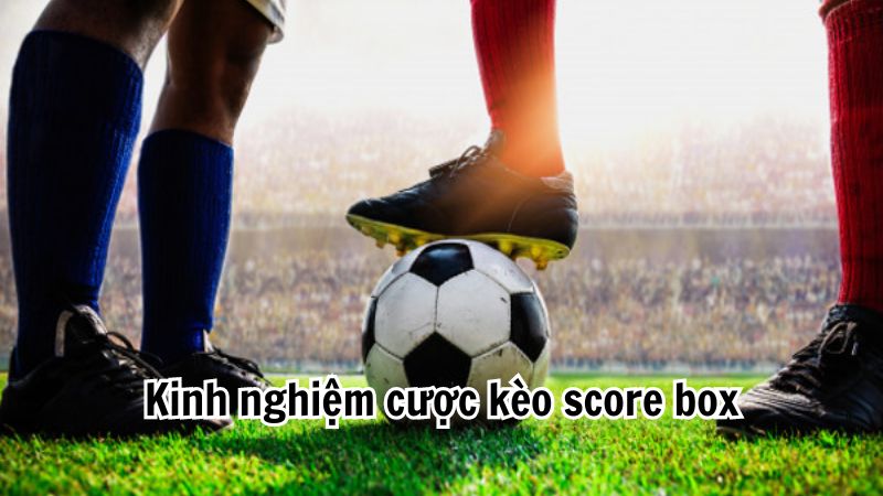 Tổng quan về kèo Score box trong cá cược bóng đá