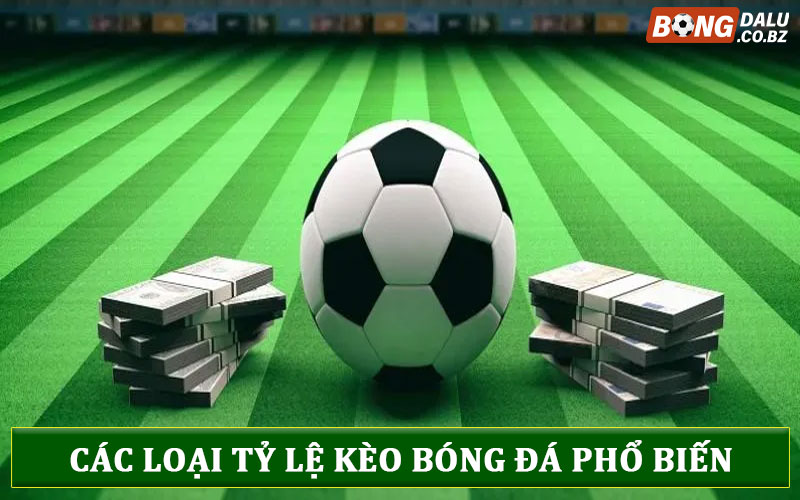 Các loại tỷ kệ kèo bóng đá phổ biến