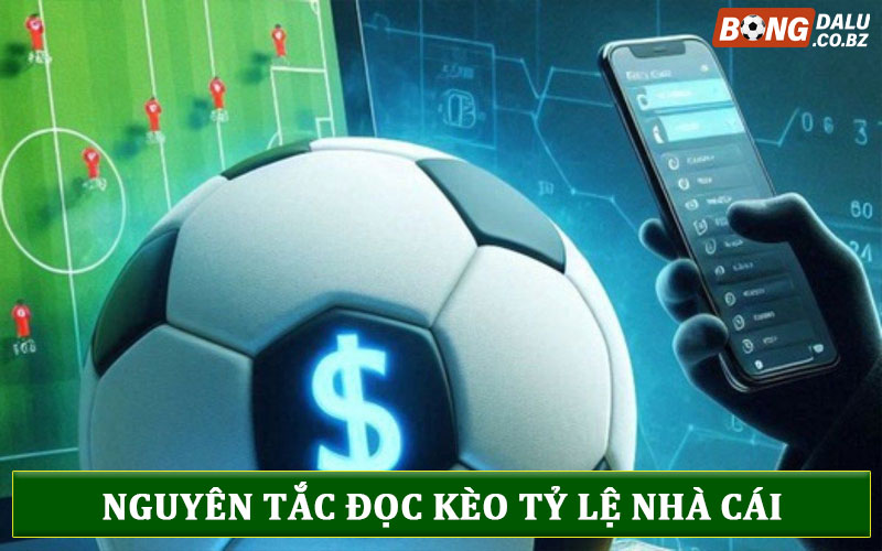 Nguyên tắc đọc kèo tỷ lệ cá cược nhà cái