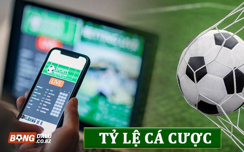 Tỷ lệ cá cược - Nội dung cơ bản về kèo cược cần nắm bắt