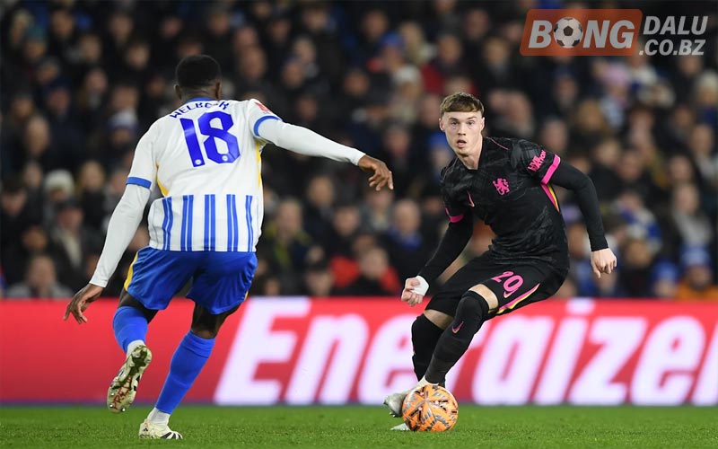 Diễn biến trước trận đấu Brighton vs Chelsea