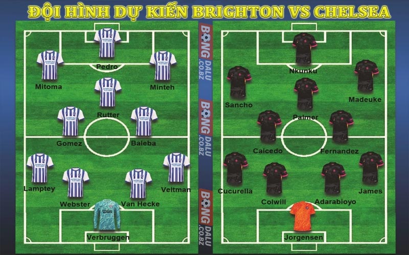 Đội hình ra sân dự kiến Brighton vs Chelsea