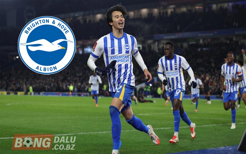 Về phía Brighton and Hove Albion