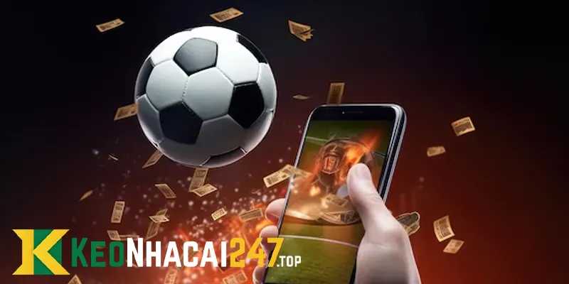 Cách chia tiền và phân tích kịch bản