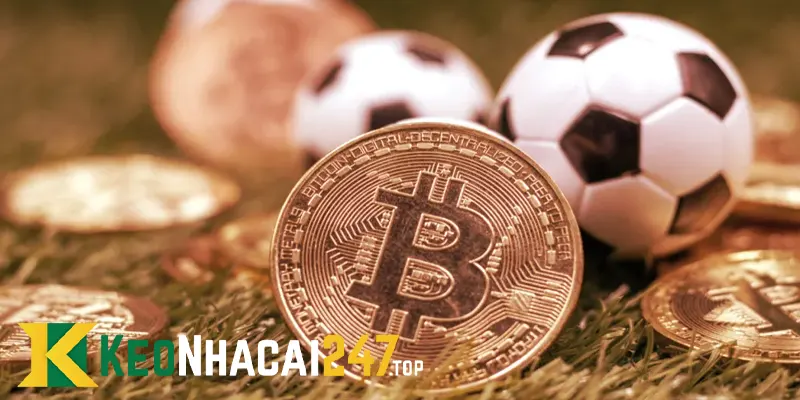 Cách tính tiền và các loại kèo parlay phổ biến