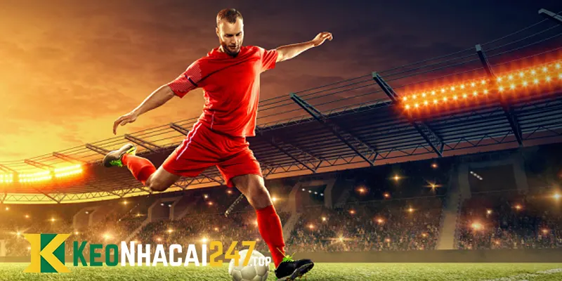 Kèo chấp 1.75 là gì? – Giải mã loại kèo Asian Handicap này