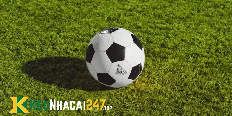Kèo chấp 2.5 là gì? – Cuộc chơi của những chiến thắng hủy diệt